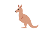 emojivid animals emoji kangaroo emojivid Sticker