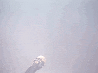 prince controversy GIF