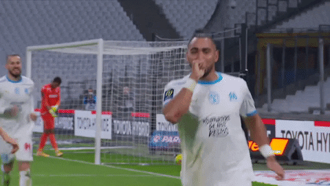 Football Soccer GIF by Ligue 1