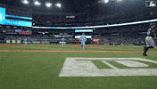 Blue Jays Baseball GIF by Toronto Blue Jays