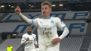 Champions League Please GIF by Olympique de Marseille