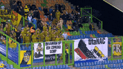 GIF by FOX Sports
