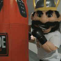 U Of I Boxing GIF by University of Idaho