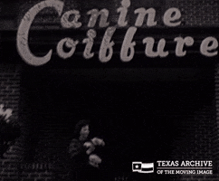 Dog Puppy GIF by Texas Archive of the Moving Image