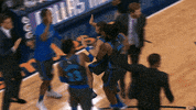 carrying deandre jordan GIF by NBA