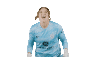 Sport Team Sticker by National Women's Soccer League
