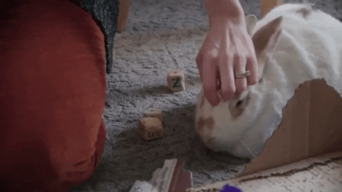 Bunny Love GIF by Mercy For Animals