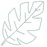 rovinya plant leaf leaves lineart Sticker