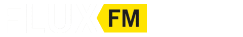 Radio Berlin Sticker by FluxFM