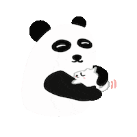 Panda Bear Love Sticker