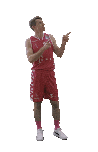 TelekomBaskets basketball swipe up up swipe Sticker