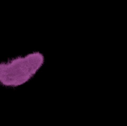 Loop 3D GIF