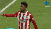 Football Soccer GIF by MolaTV