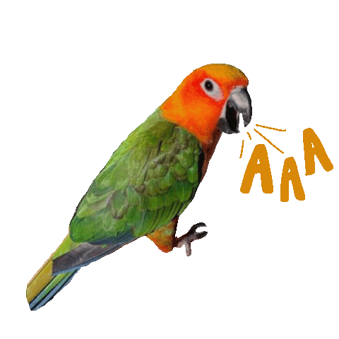 Marianrae Sticker
