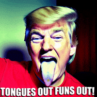 Trump GIF