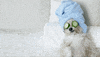 GIF by Bionoble