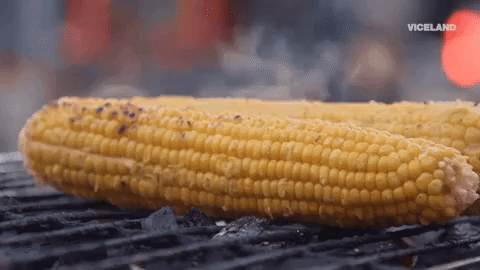 corn GIF by F*CK, THAT'S DELICIOUS