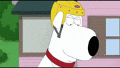 Family Guy GIF