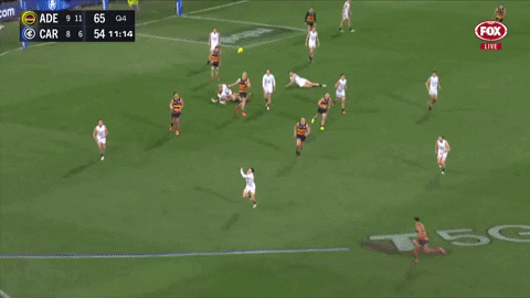 Fogarty GIF by Adelaide Crows