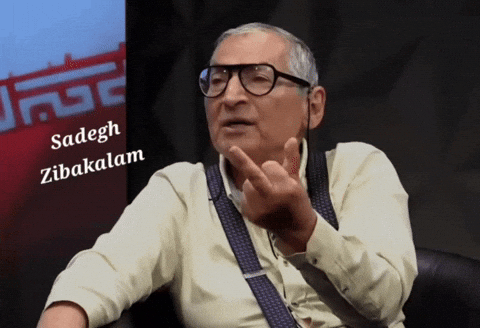 Sadegh Zibakalam GIF