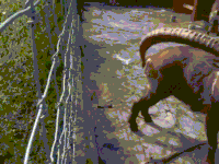 ram horns GIF