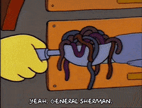 Season 2 Episode 20 GIF by The Simpsons
