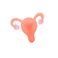 ktbyknix period uterus kt periodunderwear Sticker