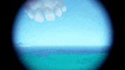 Cat Hello GIF by Sea of Thieves