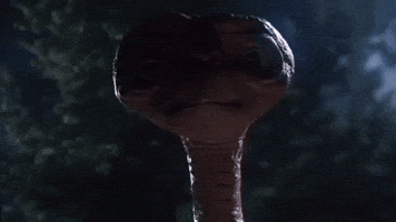 sci-fi et GIF by MANGOTEETH