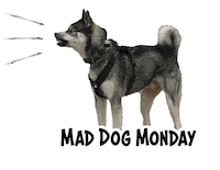 Angry Wolf Sticker by chubbycheekscrew