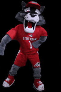 GIF by Stony Brook University