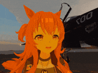 Horse Plane GIF