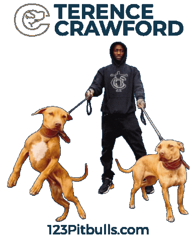 Terence Crawford Pitbull Sticker by Chico Lopez