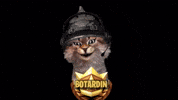 botardin gato vtuber gatito peruano GIF