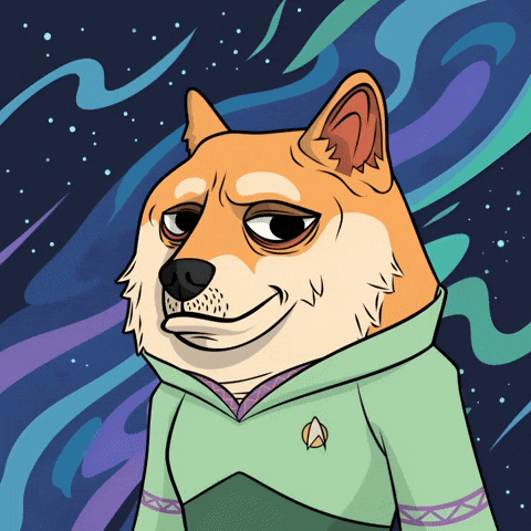Star Trek Smiling GIF by Doge Pound