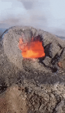 248164ee043244a5801b70cdca89e612 giphyupload GIF