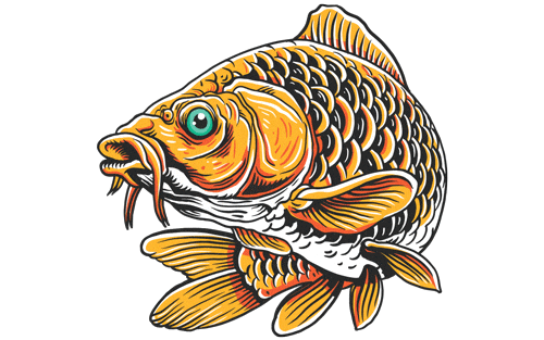 Fishing Carp Sticker