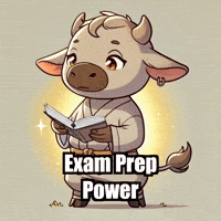 Review Exam GIF by Masterfurdinand