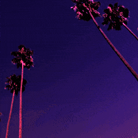 GIF by GIPHY CAM