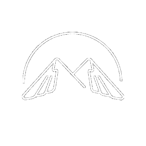 Fly Wings Sticker by ChamonixParapente