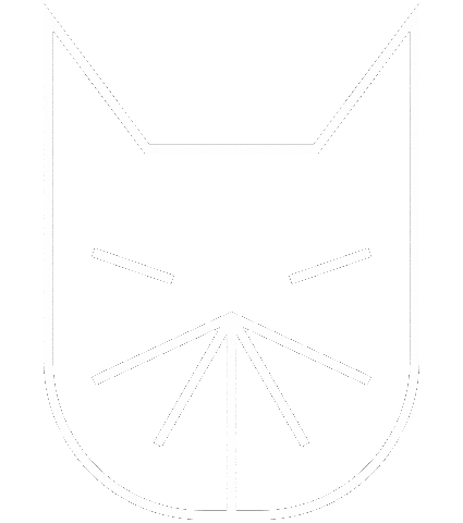 galattico giphyupload cat animation motion Sticker