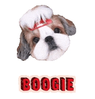 Dog Puppy Sticker