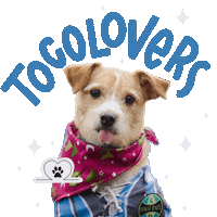 Dog Spa Sticker by Pet Square