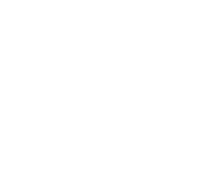Box Tiger Sticker by exizzleline