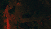 Music Video Dance GIF by Stoned Hare