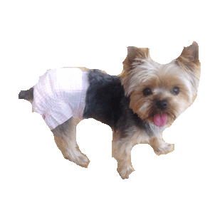 yorkie STICKER by imoji