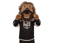 Ice Hockey Sticker by NHL