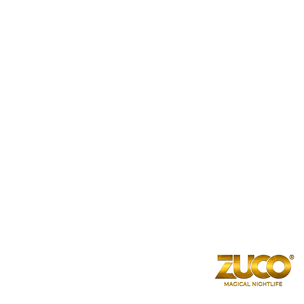 Party Nightlife Sticker by ZUCO Nightclub