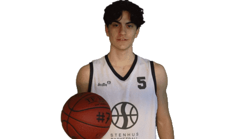 StenhusBasketball giphyupload marco stenhus Sticker