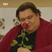 Flower Love GIF by TRT